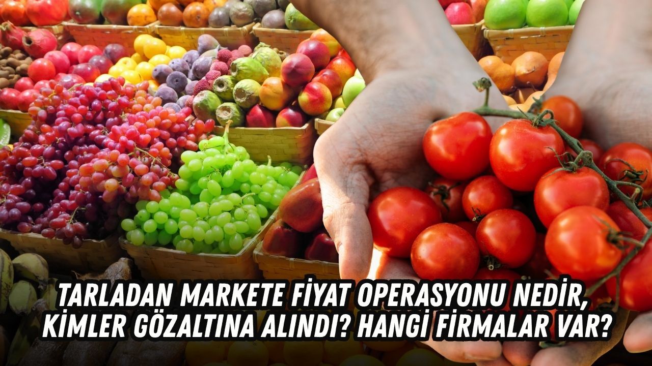 Tarladan markete fiyat operasyonu nedir, kimler gözaltına alındı? Hangi firmalar var?
