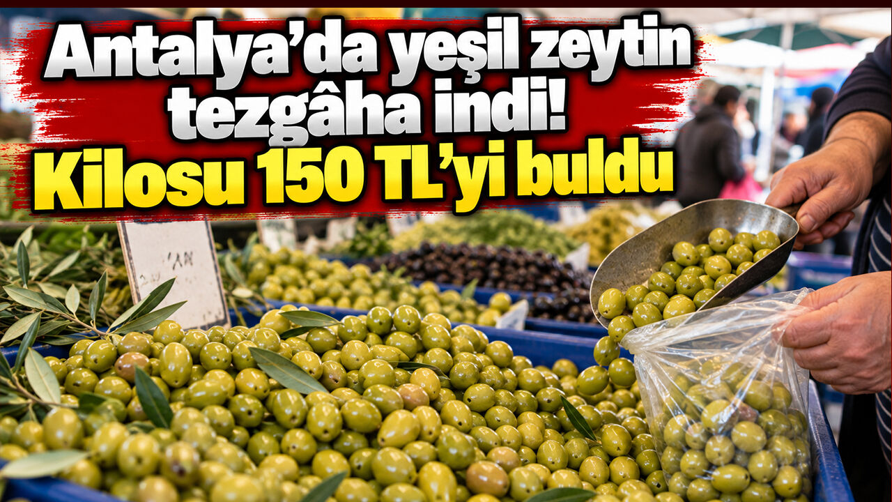 Antalya’da yeşil zeytin tezgâha indi! Kilosu 150 TL'yi buldu!