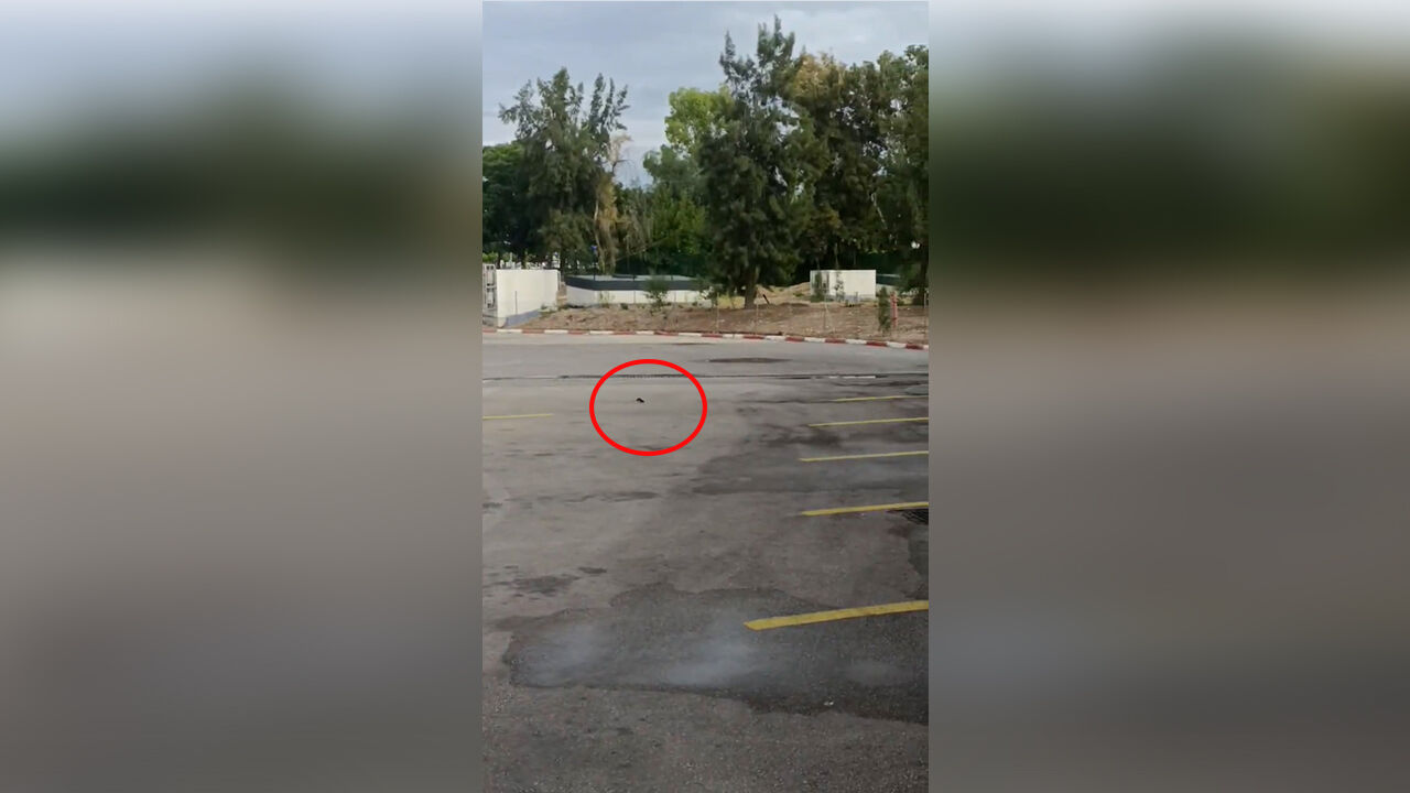 Antalya Otogarı’nda fare alarmı!