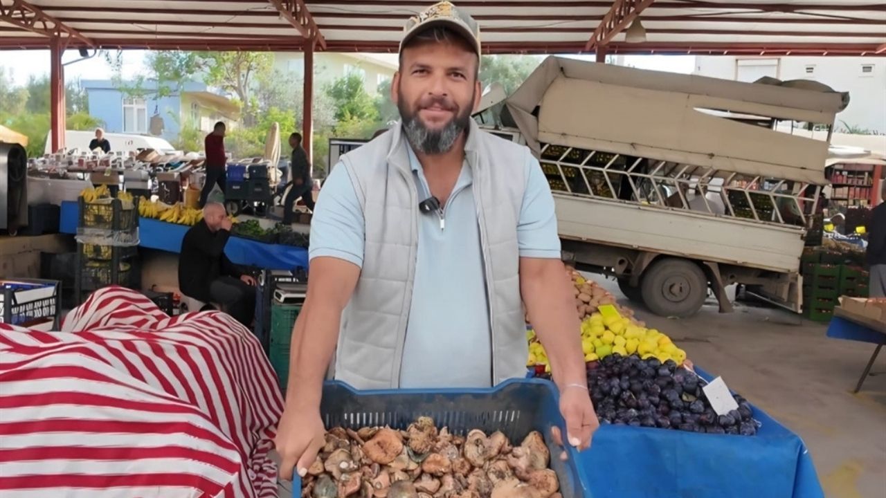 Antalya’da Dağlarda Toplanıyor! 500 Liraya Satılıyor23 (2)