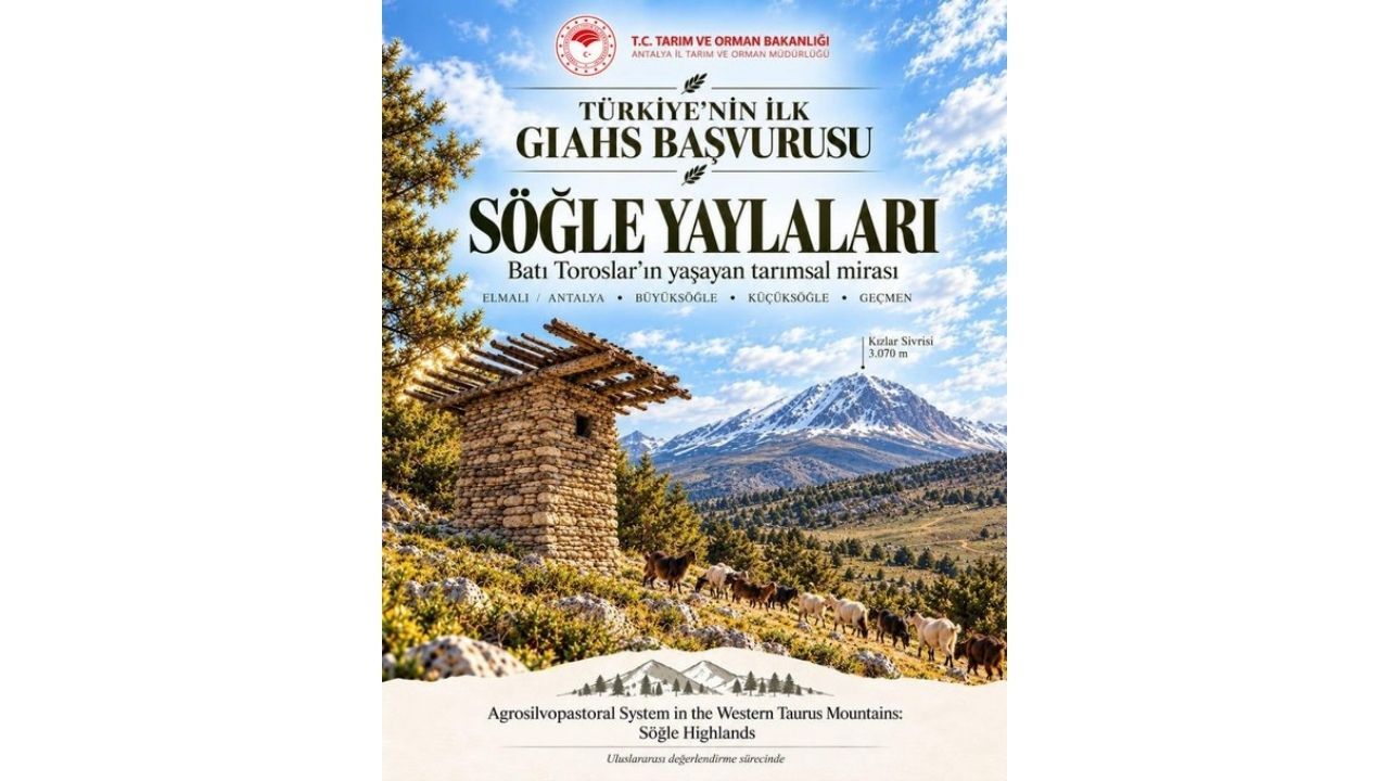 Antalya’dan Türkiye’de Bir Ilk! Elmalı Söğle Yaylaları Bm Gündeminde1 (2)