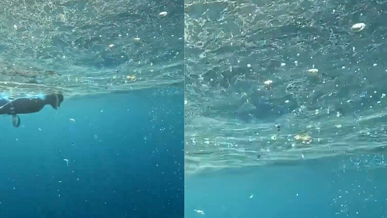 Deniz Kirliliği Mikroplastik