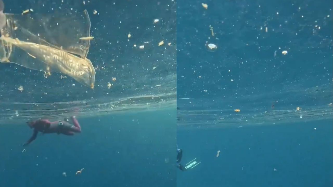 Kaş'ta deniz altından endişelendiren görüntüler: Plastik atıklar her yerde