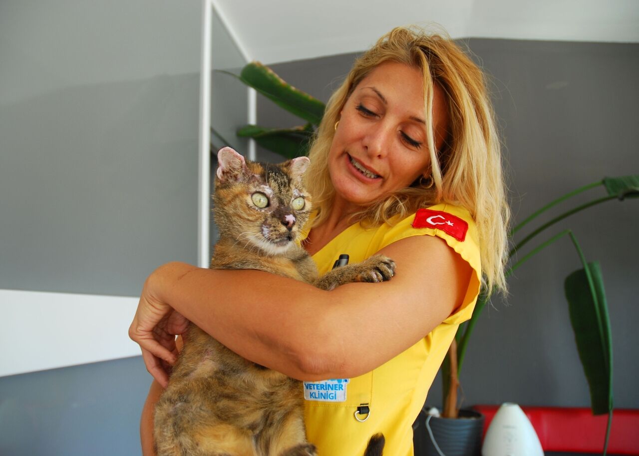 Kumlua Yangınında Yaralanan Kedi Luna (4)