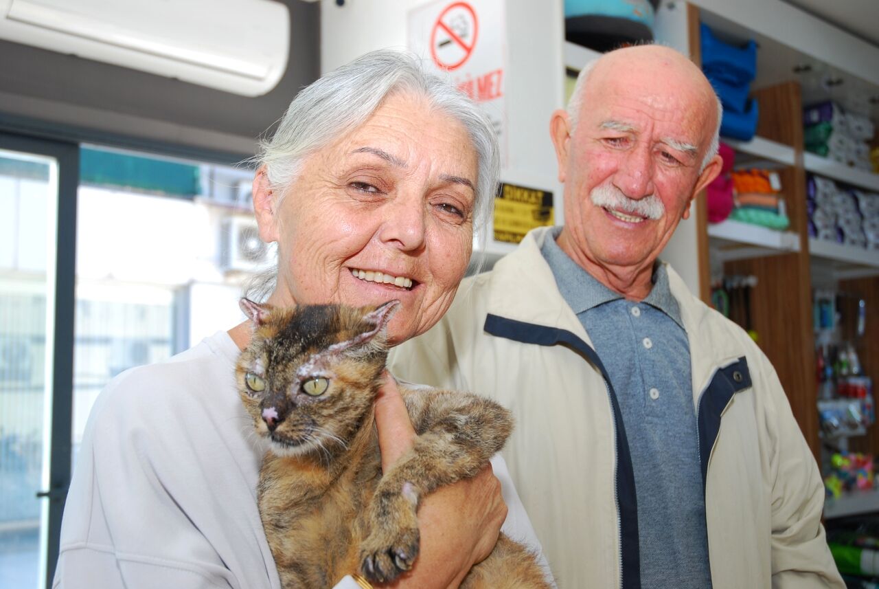 Kumlua Yangınında Yaralanan Kedi Luna (5)