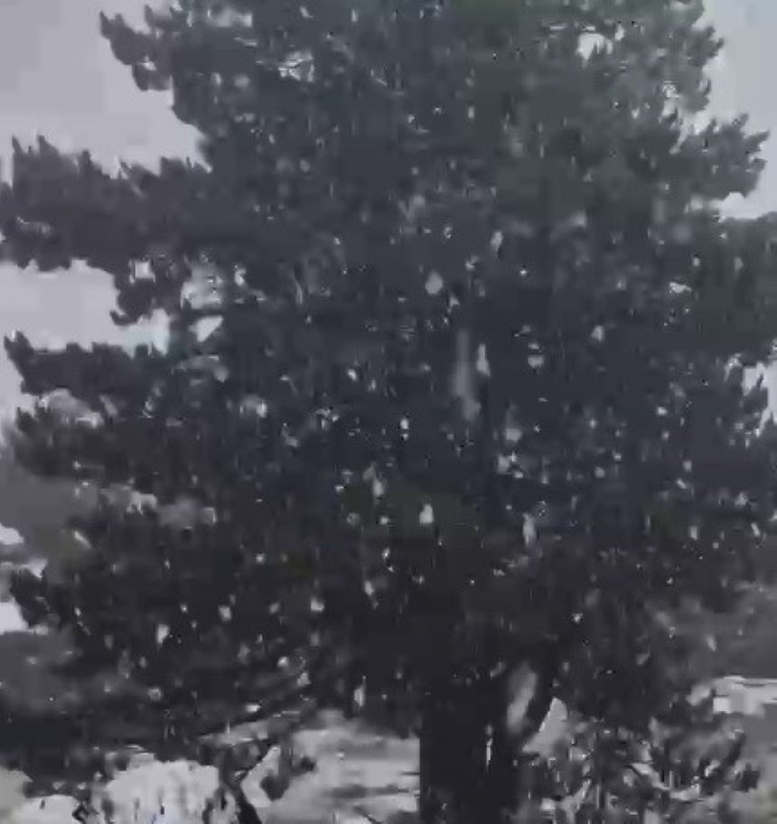 Muğla’ya Sezonun Ilk Karı Yağdı (3)