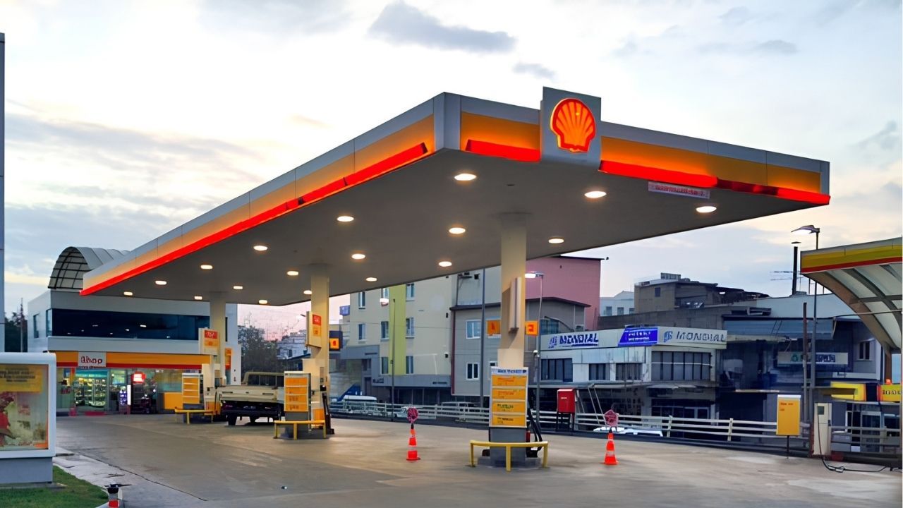 Shell (2)