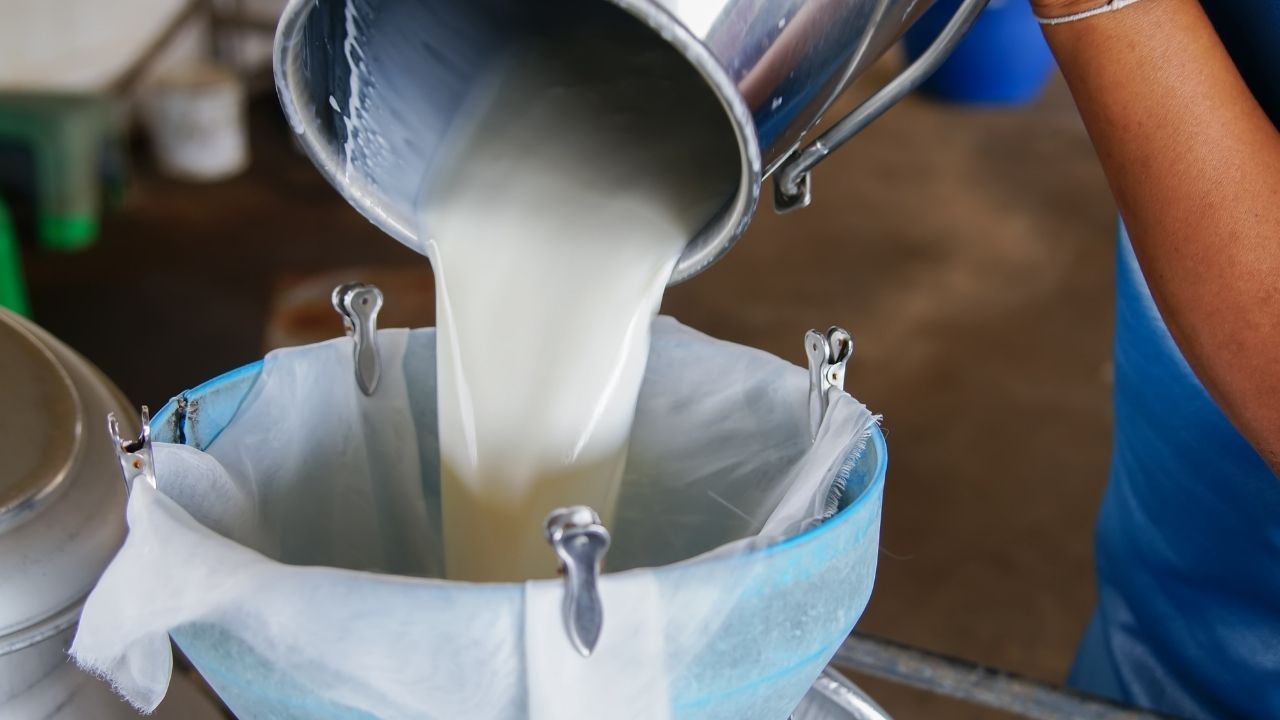 Üreticinin Sütten Cebi Yandı! Antalya'da Çiğ Süt Fiyatları Merak Konusu Oldu1 (2)