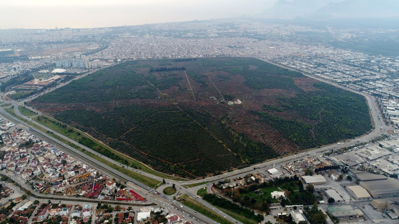 Zeytinpark sözleşmesi iptal ediliyor! Muhittin Böcek’in imzasına Sayıştay incelemesi
