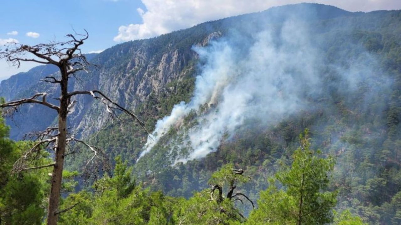 Burdur Altınyayla'daki orman yangını kontrol altında