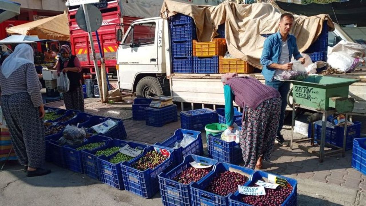 Antalya’da sofralık yeşil zeytin satışı başladı. Peki, yeşil zeytinin kilosu ne kadar?