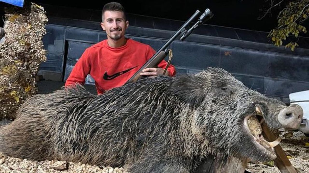 397 kiloluk domuzu av tüfeğiyle öldürdü