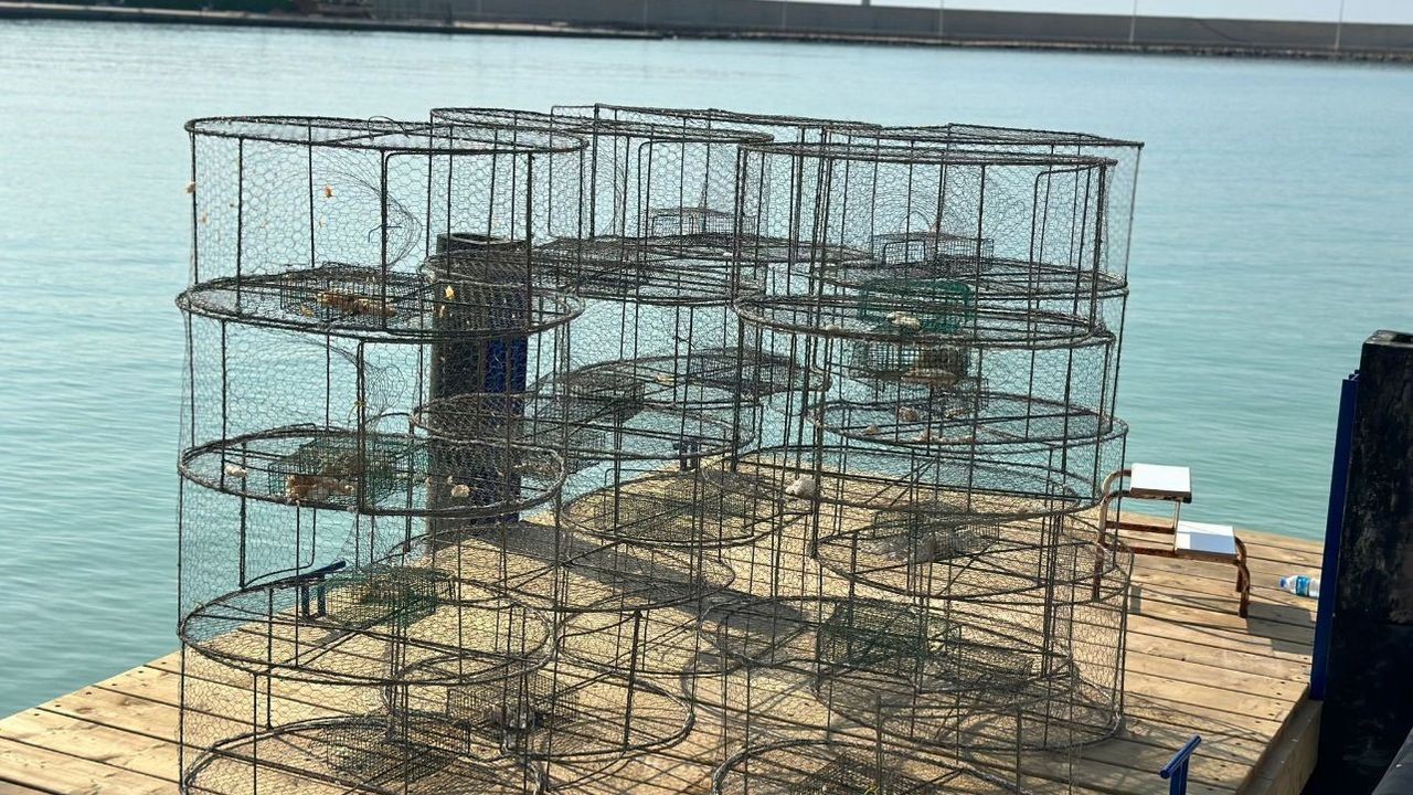 Denizde kullanılması yasak olan kafesler toplandı