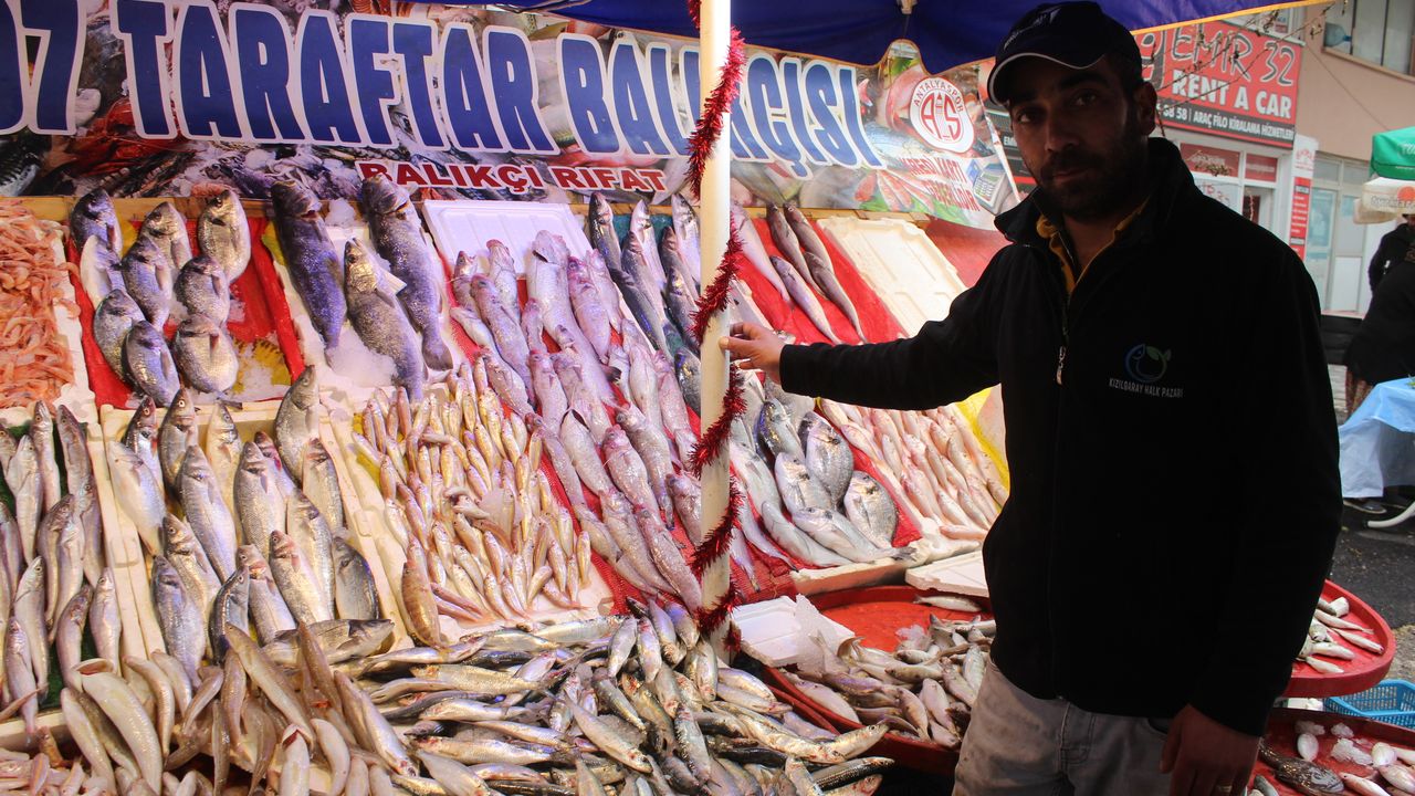 Antalya’da en ucuz balık kaç lira? Hamsi, istavrit, kupes balığı... Balık fiyat listesi...