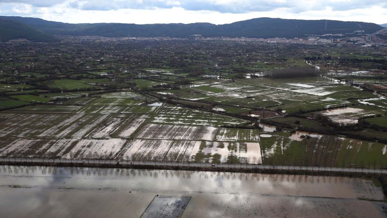Muğla'da sağanak yağış tarım arazilerini vurdu