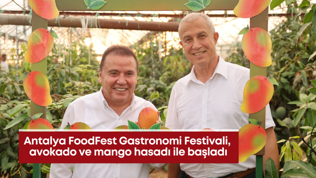 Antalya FoodFest Gastronomi Festivali, avokado ve mango hasadı ile başladı