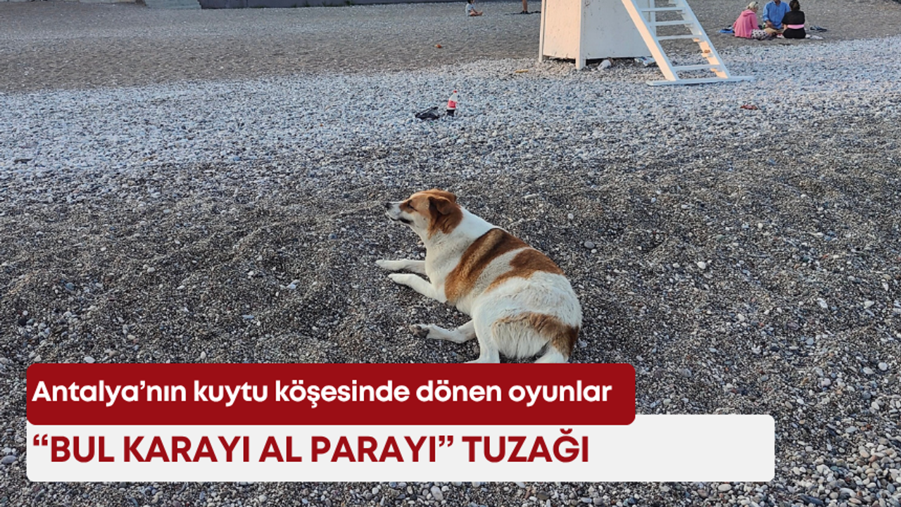 Konyaaltı sahilinde köpek alarmı! Vatandaşlar isyan etti