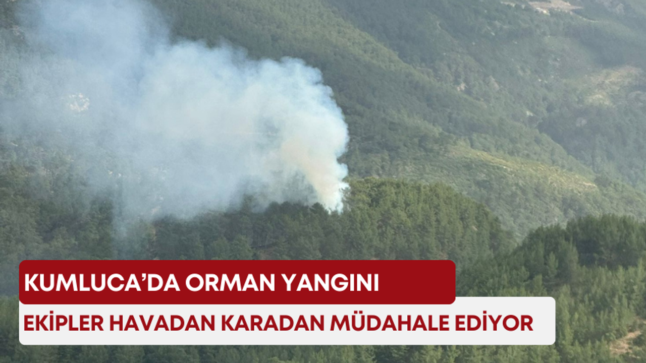 Kumluca’da orman yangını! Ekipler havadan karadan müdahale ediyor