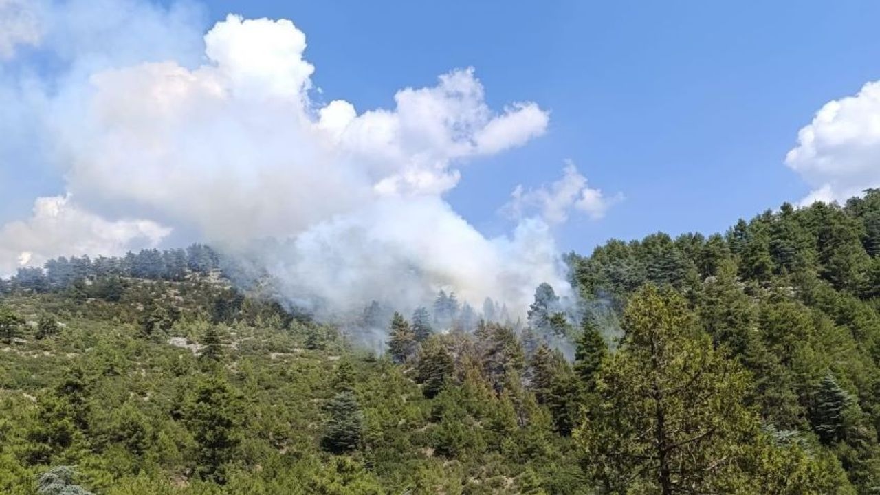Denizli’de 2 ayrı noktada orman yangını