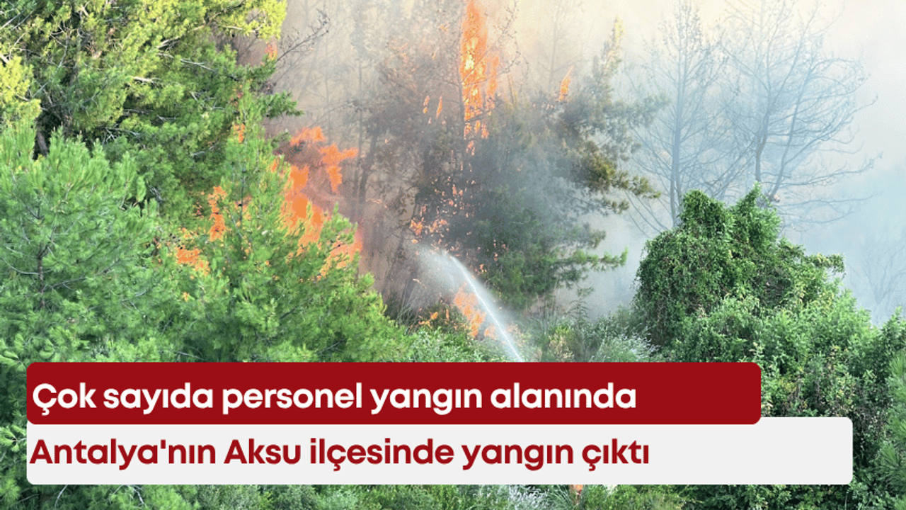 Antalya'nın Aksu ilçesinde yangın çıktı: Çok sayıda personel yangın alanında