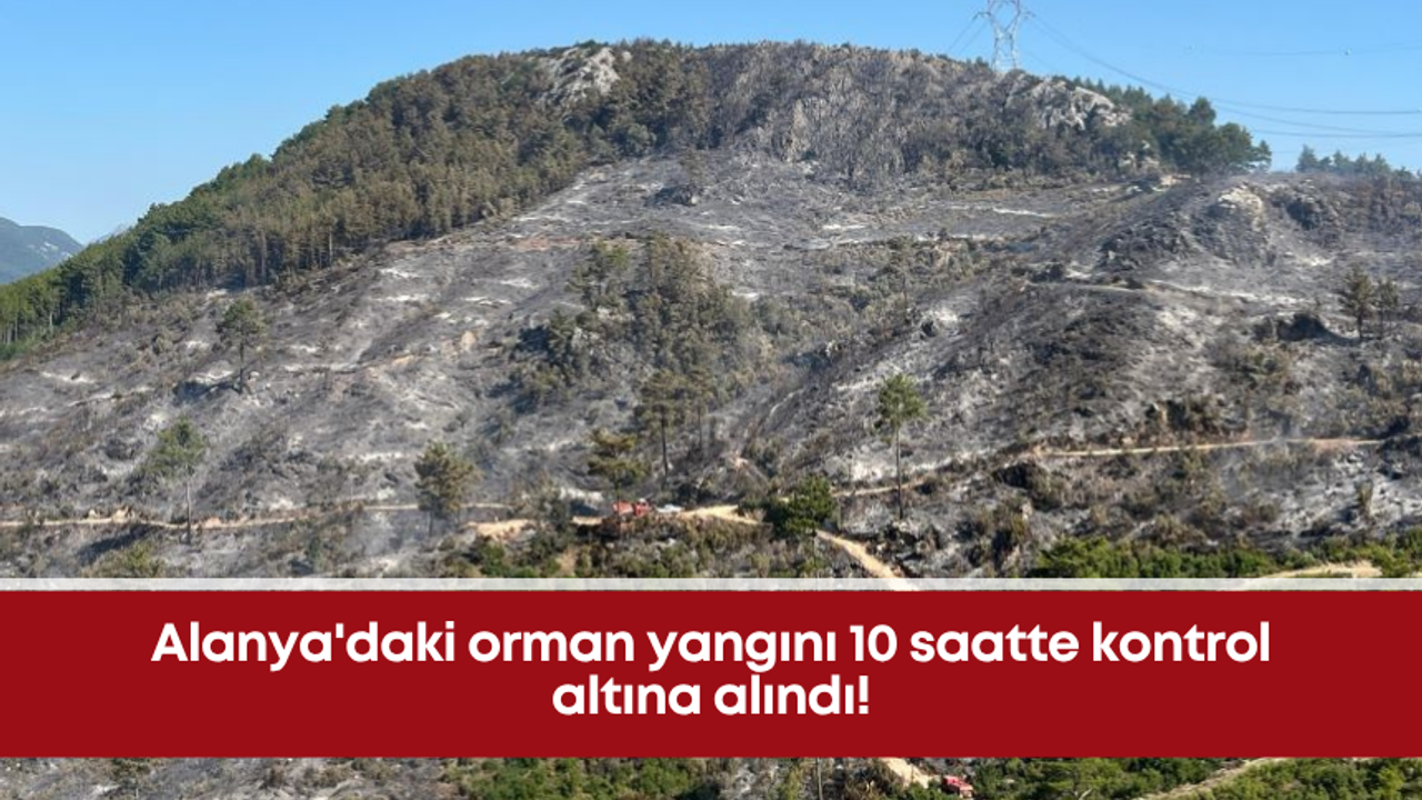 Alanya'daki orman yangını 10 saatte kontrol altına alındı!