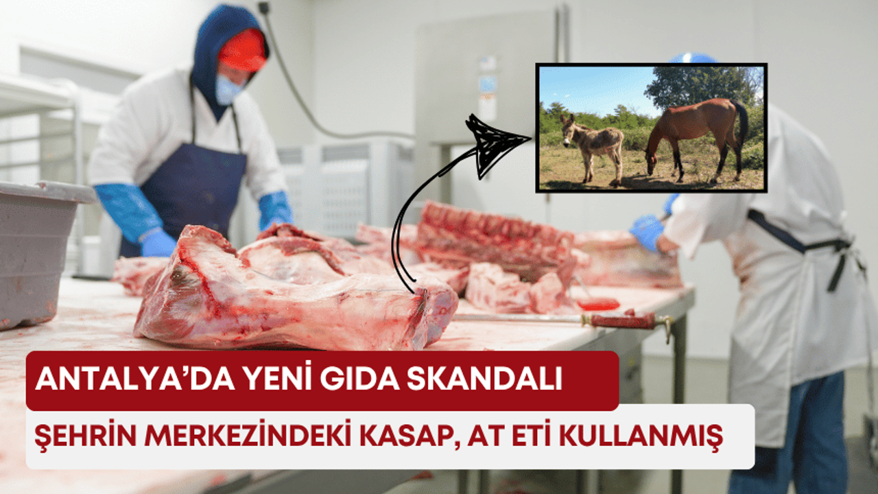 Antalya’da yeni gıda skandalı: Şehrin merkezindeki kasap, at eti kullanmış