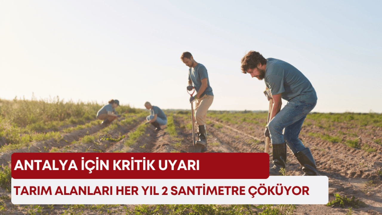Antalya için kritik uyarı! Tarım alanları her yıl 2 santimetre çöküyor