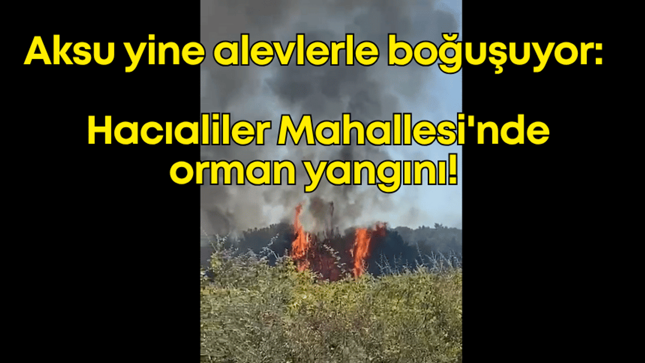 Aksu yine alevlerle boğuşuyor: Hacıaliler Mahallesi'nde orman yangını!