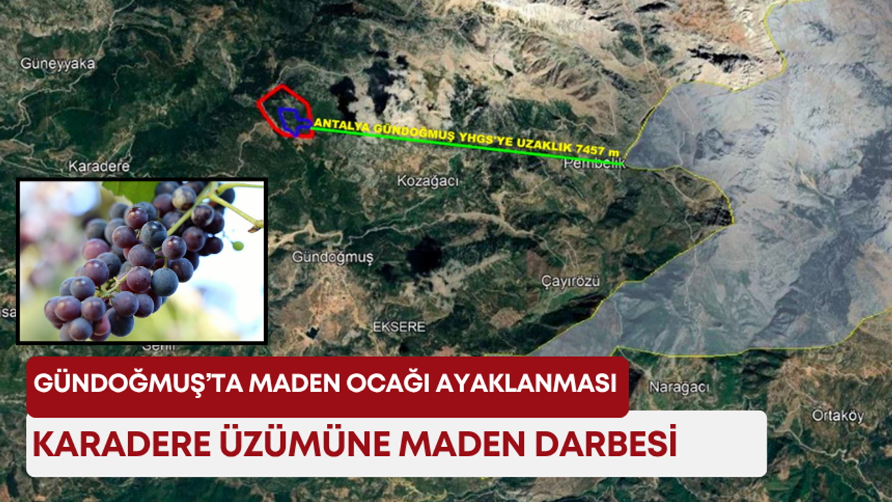 Gündoğmuş’ta maden ocağı ayaklanması: Karadere üzümüne maden darbesi!