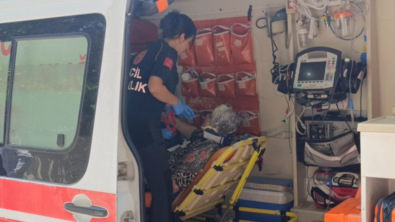 Antalya'da ekmeğinin peşindeki yaşlı kadına kamyon çarptı