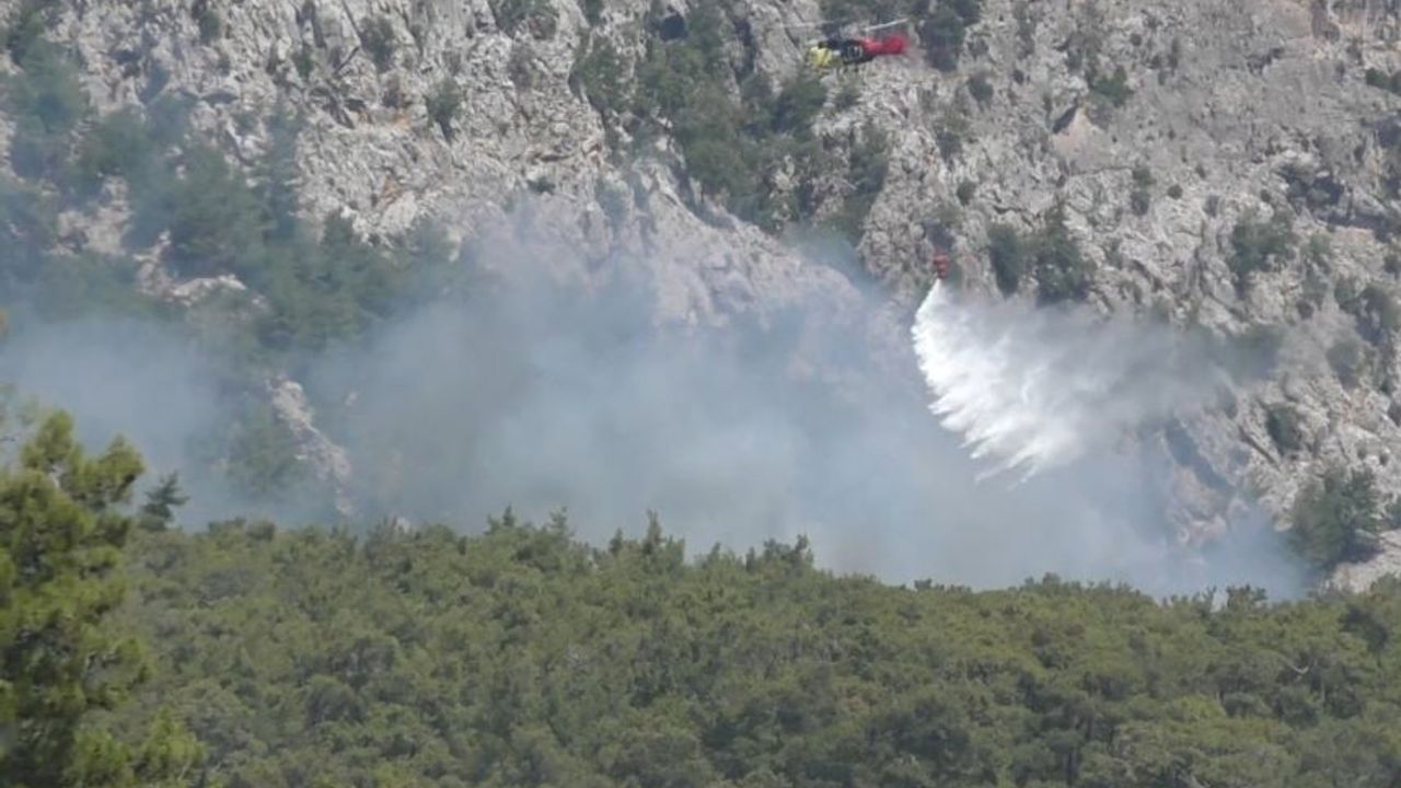 Kemer'deki orman yangını 2 saate söndürüldü!