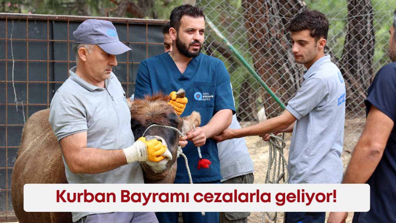 Kurban Bayramı cezalarla geliyor! İşte yasak olan uygulamalar…