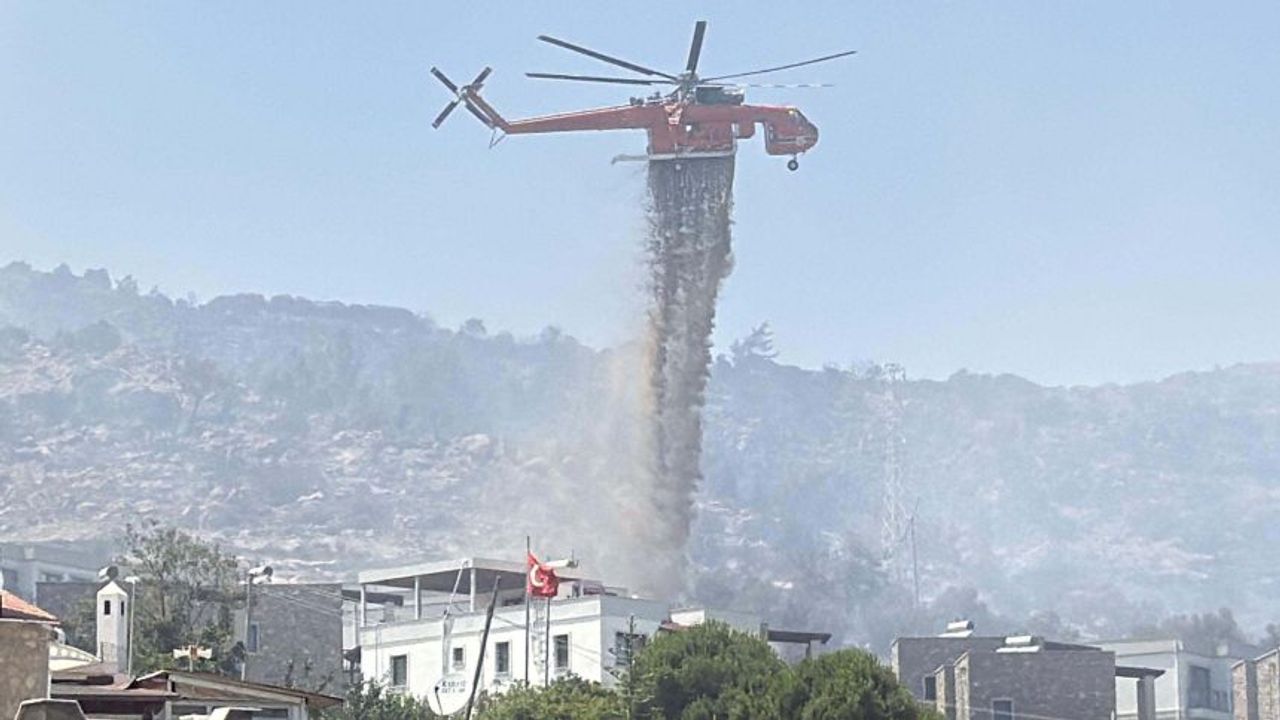 Bodrum'da makilik yangını: 20 hektar kül oldu!