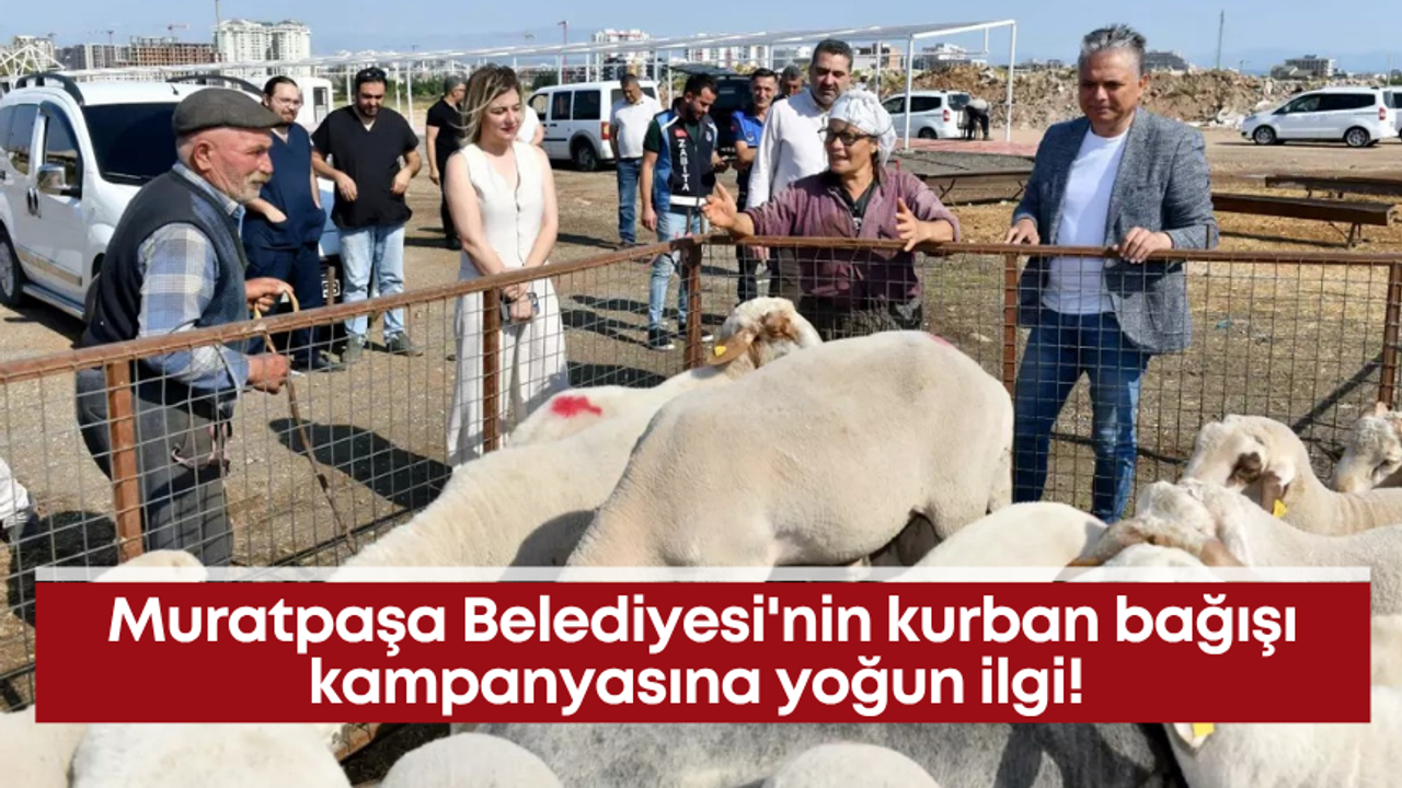 Muratpaşa Belediyesi'nin kurban bağışı kampanyasına yoğun ilgi!