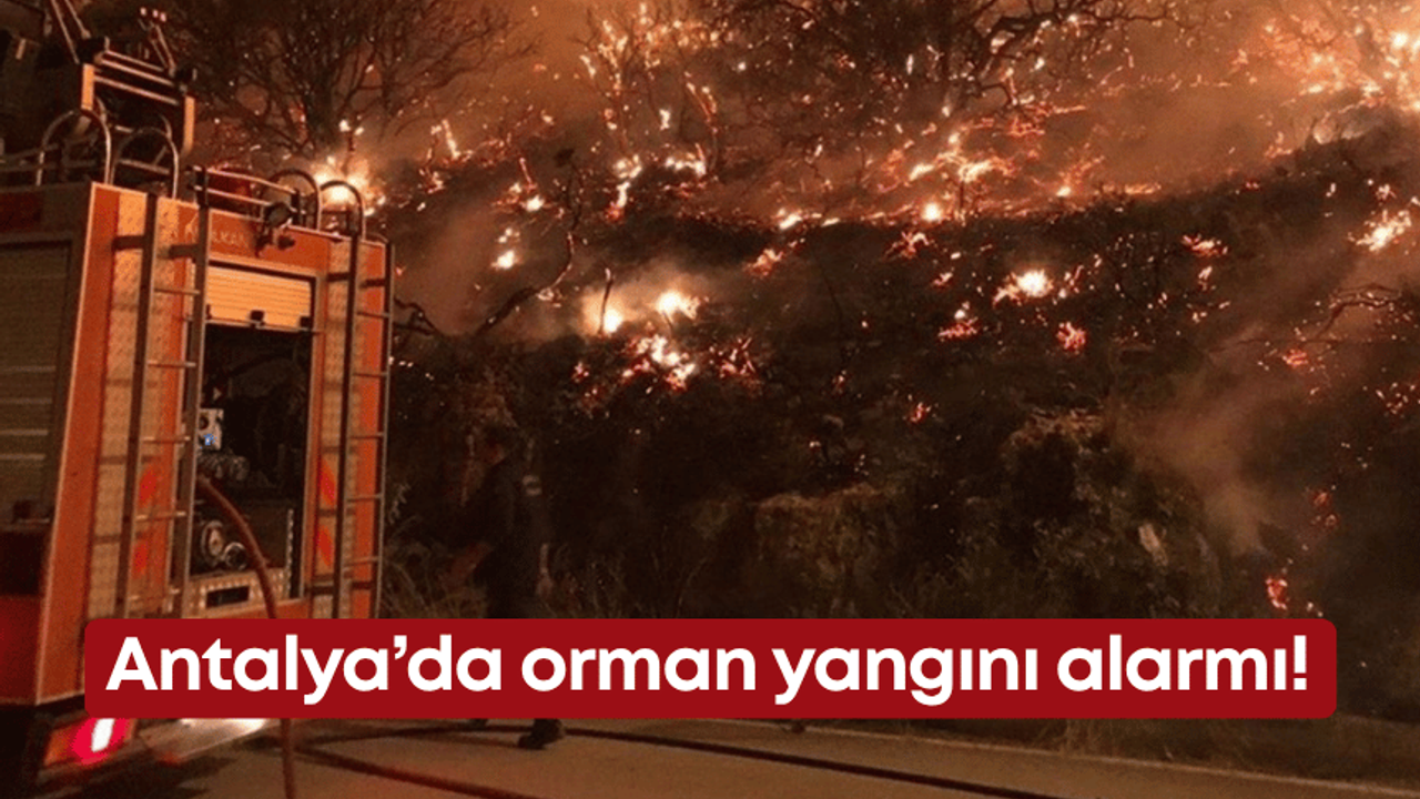 Antalya’da orman yangını alarmı!