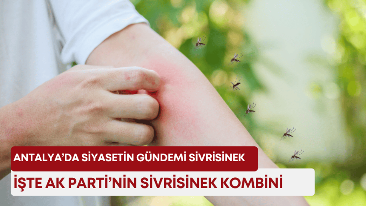 Antalya’da siyasetin gündemi sivrisinek: İşte AK Parti’nin sivrisinek kombini!