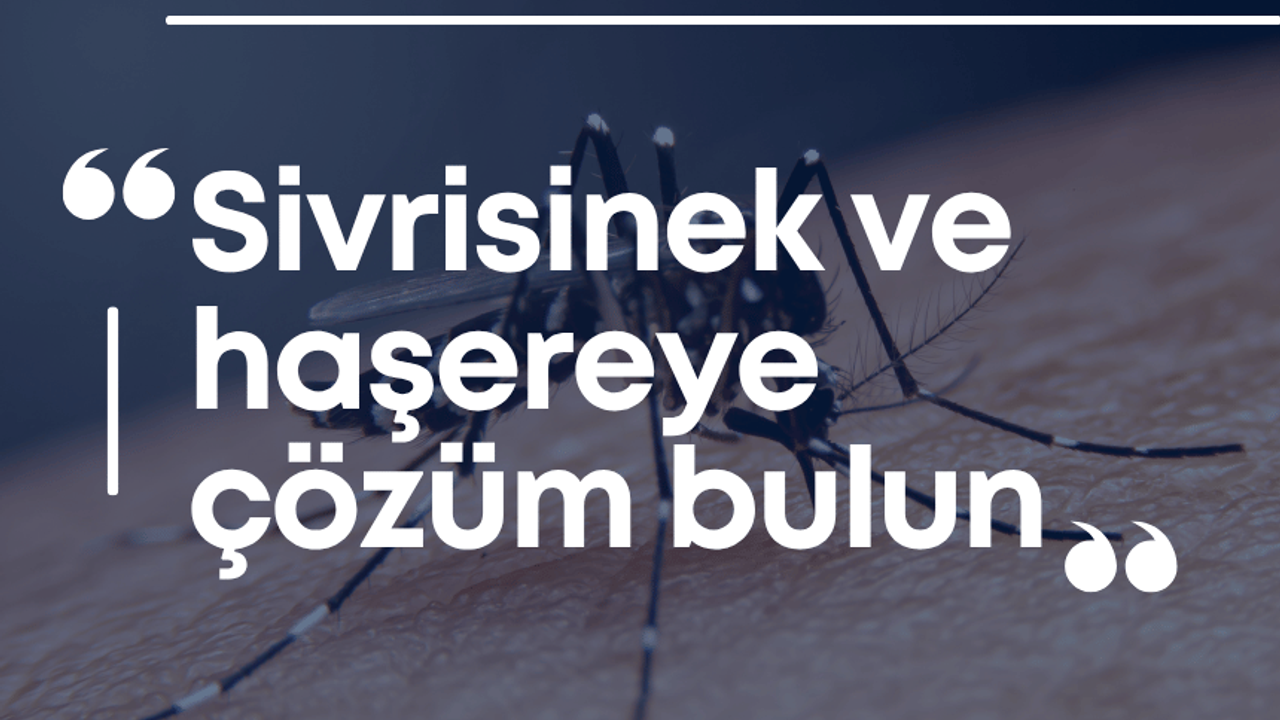 Antalya İyi Parti, Muhittin Böcek’e seslendi: “Sivrisinek ve haşereye çözüm bulun”
