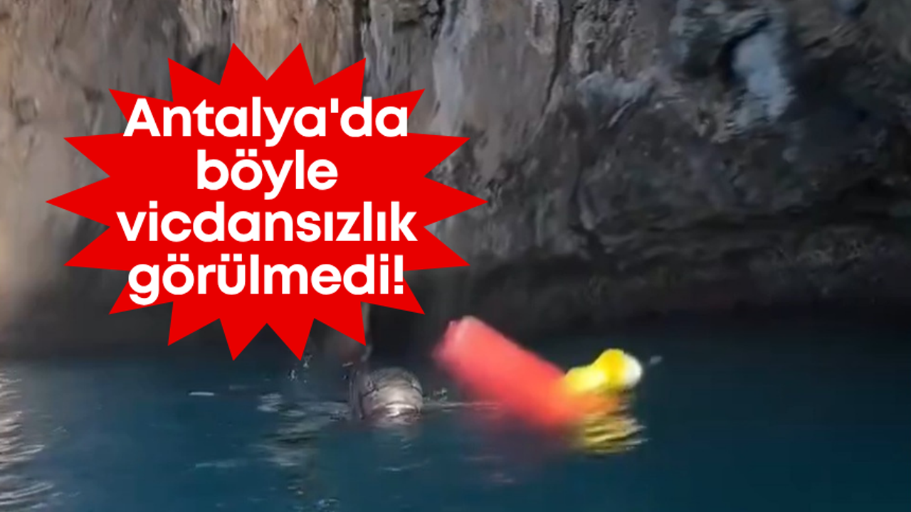 Çok çirkinsin insanoğlu... Antalya'da böyle vicdansızlık görülmedi!