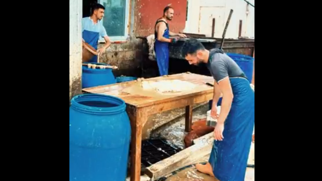 Adana'da gıda krizi: Onaysız üretilen 5 ton paça imha edildi
