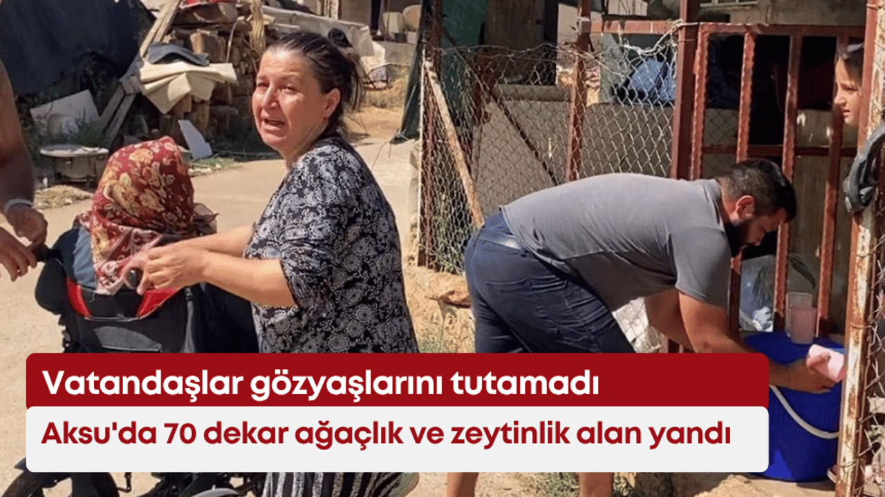 Aksu'da 70 dekar ağaçlık ve zeytinlik alan yandı: Vatandaşlar gözyaşlarını tutamadı
