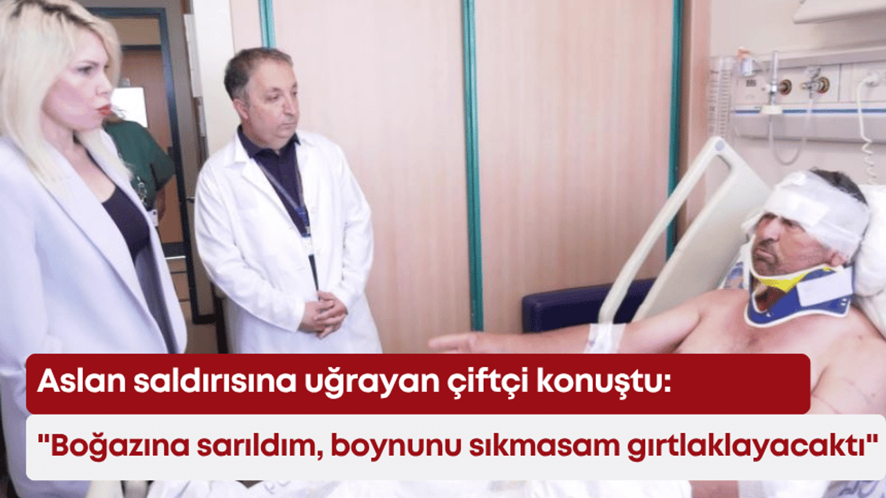 Aslan saldırısına uğrayan çiftçi konuştu: “Boğazına sarıldım, boynunu sıkmasam gırtlaklayacaktı”