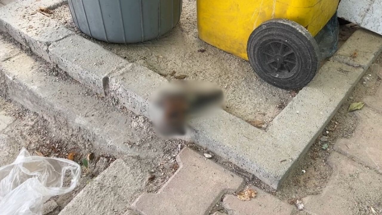 Konya'da çocukların çöpte bulduğu silah, polisi harekete geçirdi!