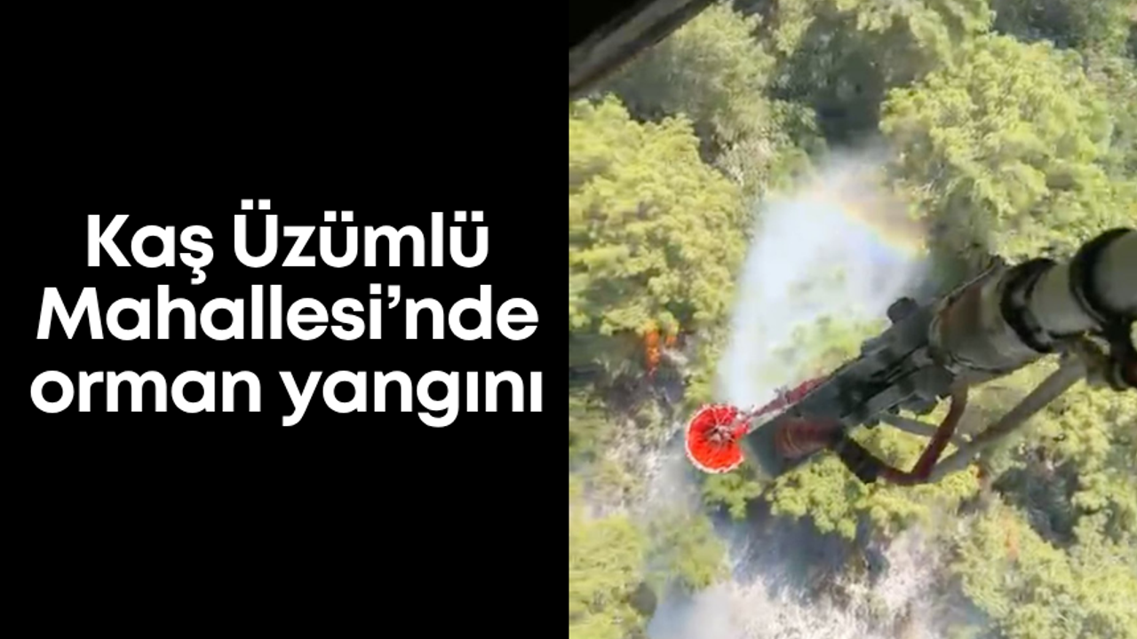 Kaş Üzümlü Mahallesi’nde orman yangını
