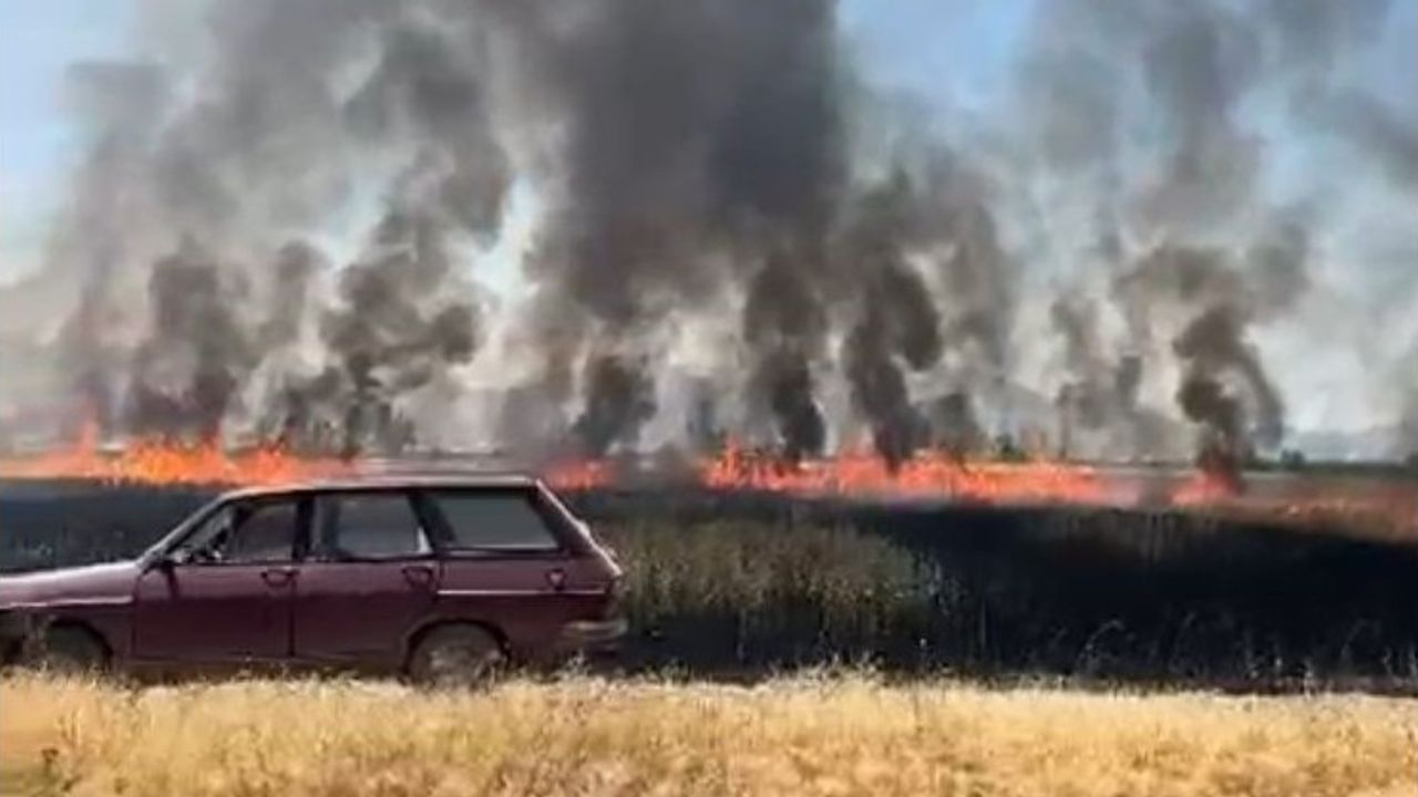 Burdur'da elektrik direğinden çıkan yangın 50 dönüm ekili alanı kül etti