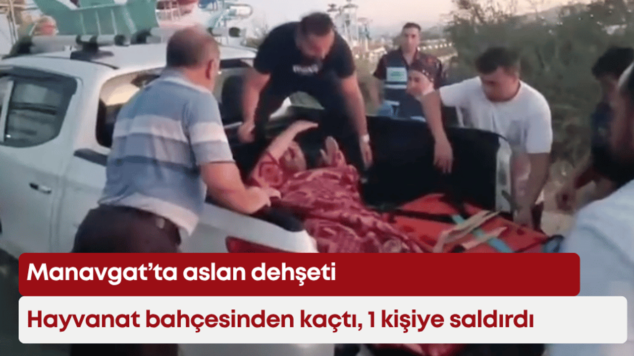 Manavgat’ta aslan dehşeti: Hayvanat bahçesinden kaçtı, 1 kişiye saldırdı