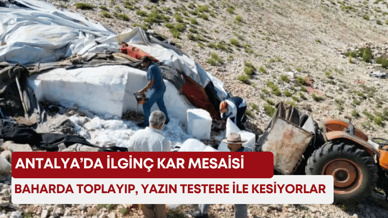 Antalya’da ilginç kar mesaisi! Baharda toplayıp, yazın testere ile kesiyorlar