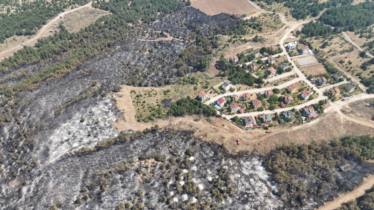 Karabük'te doğa yeşilden siyaha döndü