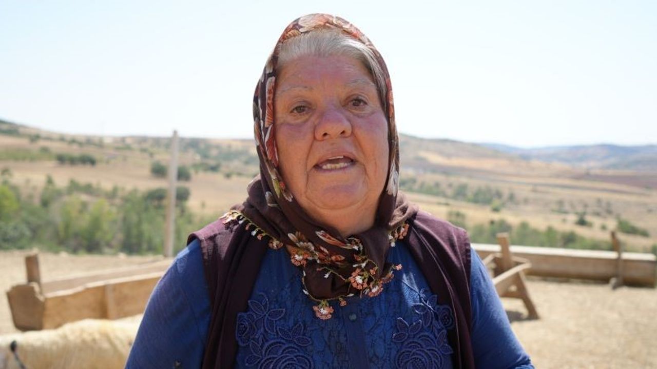 130 küçükbaş hayvanı telef oldu: Yaşlı kadının gözyaşları yürekleri dağladı