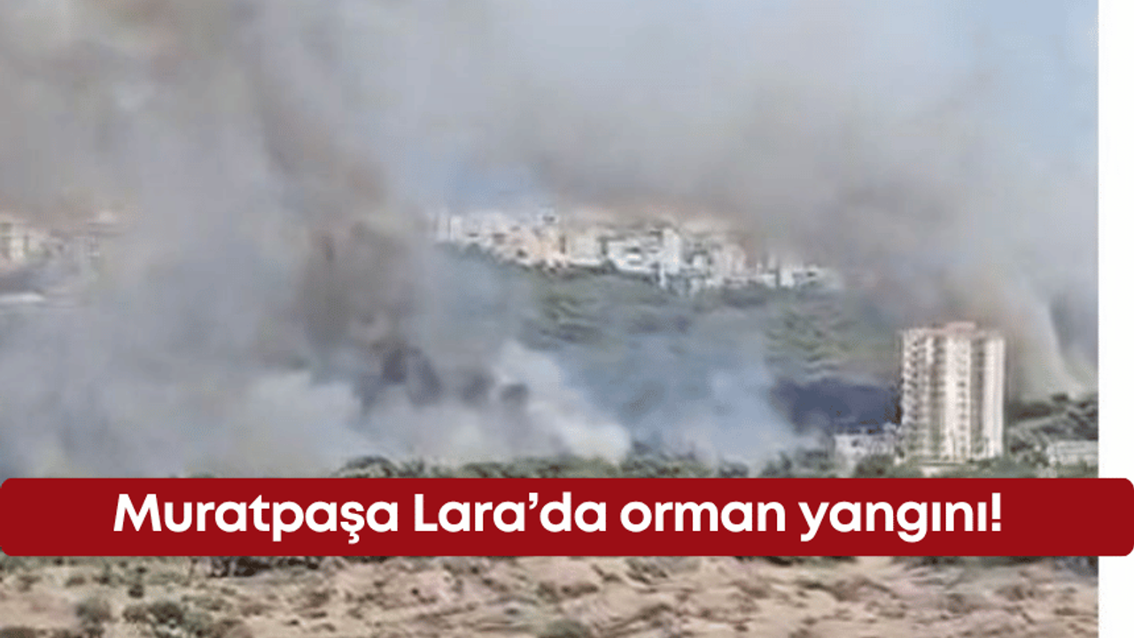 Muratpaşa Lara’da orman yangını!