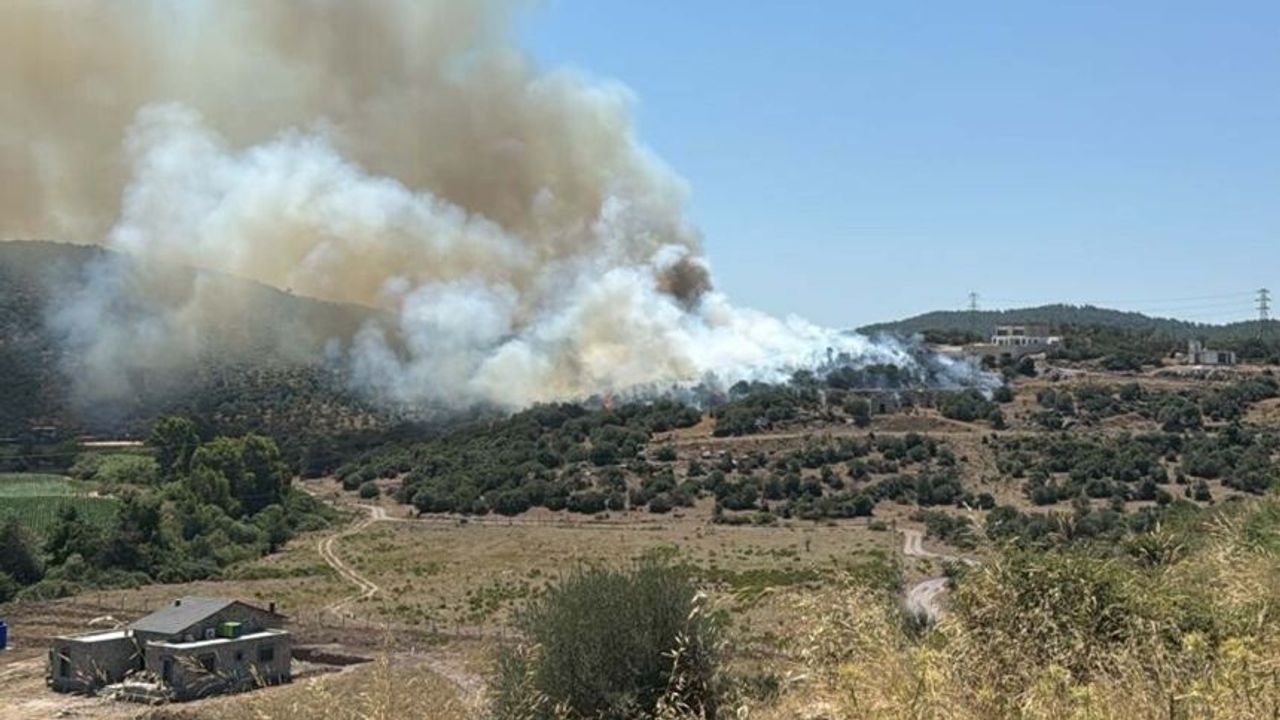 Muğla Milas'ta tarım arazisi yangını kontrol altına alındı
